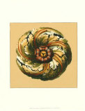 Classic Rosette V Prints