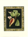 Tropical Bounty I Prints