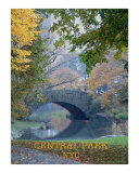 Bridge Photographic Print by WAYNE K. HOUSER