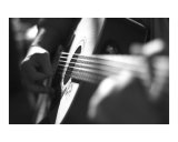 Guitar Photographic Print by John Gusky