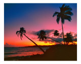 Caribbean Sunset Fotografie-Druck von George Oze