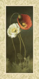 Poppy Serenade Poster par Lisa Audit
