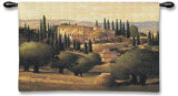 Warm Tuscan Sun Wall Tapestry by Max Hayslette