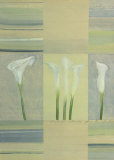 Calla Lily Dance II Posters by Pablo Esteban Calla Lily Dance II Posters by Pablo Esteban