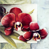 Orchid Duo II Affiches par Lisa Audit