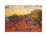 The Olive Grove, c.1889 Poster von Vincent van Gogh