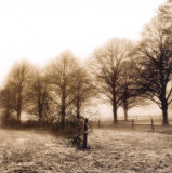 Fence Row and Trees Posters par Harold Silverman