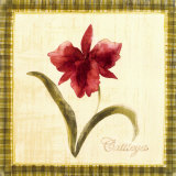 Cattleya Prints by Yuna 
