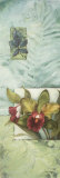 Full Orchid Duo I Posters par Lisa Audit