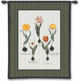 Tulip Study I Wall Tapestry Tulip Study I Wall Tapestry