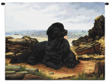 Newfoundland Wall Tapestry by Robert May