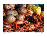 Crawfish Boil - Louisiana Style Photographic Print by Cynthia Stephens Williams