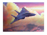 F-14A Tomcat Giclee Print by Douglas Castleman
