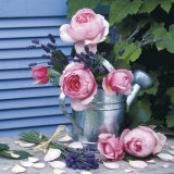 Au Jardin Prints by James Guilliam