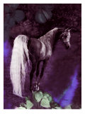 Grey Stallion Art Giclee Print by Dominique Cognee