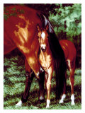 Tail End Giclee Print by Susan Sponenberg