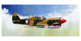 P-40E Warhawk Giclee Print by Douglas Castleman