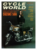 Cycle World Suzuki T500 Cobra Poster Lámina giclée Cycle World Suzuki T500 Cobra Poster Lámina giclée