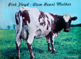 Pink Floyd Photographie