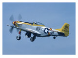 P-51 Mustang Giclee Print by Graham Collins P-51 Mustang Giclee Print by Graham Collins