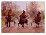 Winter Training Lámina giclée por Joan Macintyre Winter Training Lámina giclée por Joan Macintyre