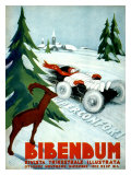 Michelin, Snow Tire Giclee Print