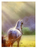 Rays of Light Giclee Print by Suzanne Sturgill