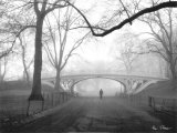 Gothic Bridge, Central Park, New York City Posters av Henri Silberman Gothic Bridge, Central Park, New York City Posters av Henri Silberman