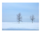 Baby Blue Winter Photographic Print by Gene J Cyr