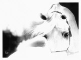 Impressions Giclee Print by Suzanne Sturgill Impressions Giclee Print by Suzanne Sturgill
