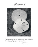Dream Poster by Deborah Van Swearingen