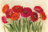 Tickled Pink  Prints by Carol Rowan