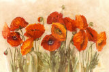 Coquelicots agités Poster par Carol Rowan
