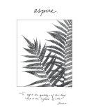 Aspire Print by Deborah Van Swearingen