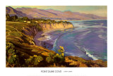 Point Dume Cove Kunstdrucke von John Comer