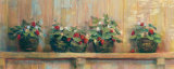 Strawberries in Pots Poster di Carol Rowan