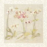 The Dance of the Orchids Stampe di Cheri Blum