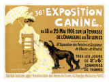 36 Exposición canina de Briard Lámina giclée por Edouard Doigneau 36 Exposición canina de Briard Lámina giclée por Edouard Doigneau