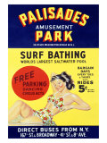Palisades Amusement Park Poster Lámina giclée