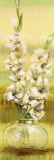 Gladiolas Posters by Selina Werbelow Gladiolas Posters by Selina Werbelow
