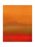 Orange Peel Photographic Print by Ruth Palmer