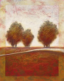 Morning Mist Rising I Affiche par Susan Osborne