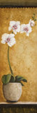 Hanna's Orchids I Posters par Susan Osborne