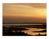 Twilight (film) Photographie par Robert Flowers