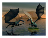 Fighting Dragons Photographic Print by John Junek