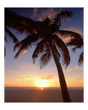 Cayman Island Sunset Photographic Print by George Oze