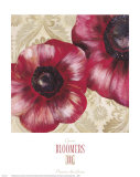 Bloomers III Print by Dysart 