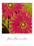 Gerbera Maximus I Art by Karen Dupré