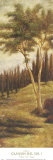 Canyon del Sol I Posters by Albert Williams Canyon del Sol I Posters by Albert Williams