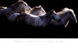 Crin Blanc Prints by Bobbie Goodrich